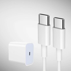 PISEN USB-C 20W fast wall charger with USB-C to USB-C cable